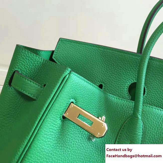 Hermes Clemence Leather Birkin 25/30/35cm Bag Green with Gold Hardware