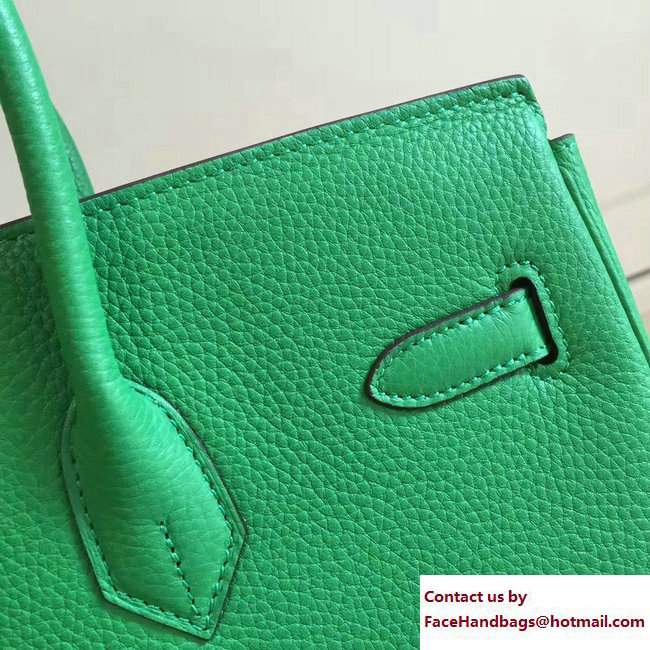 Hermes Clemence Leather Birkin 25/30/35cm Bag Green with Gold Hardware