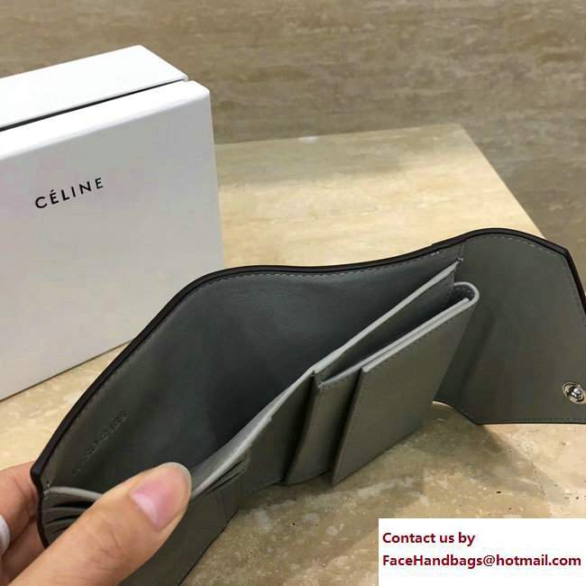 Celine Pocket Trifolded Multifunction Small Wallet 103783 12