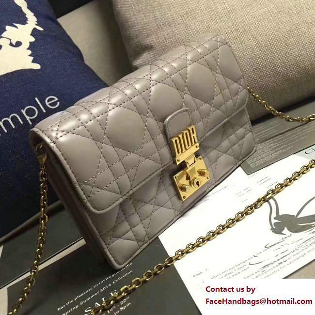 Dior Dioraddict Wallet on Chain Clutch Bag in Cannage Lambskin Gray 2017 - Click Image to Close