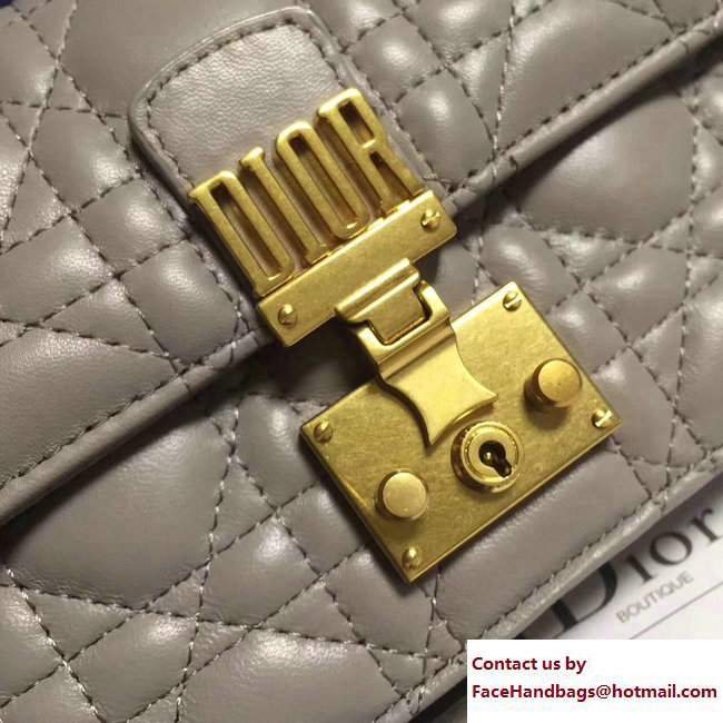 Dior Dioraddict Wallet on Chain Clutch Bag in Cannage Lambskin Gray 2017