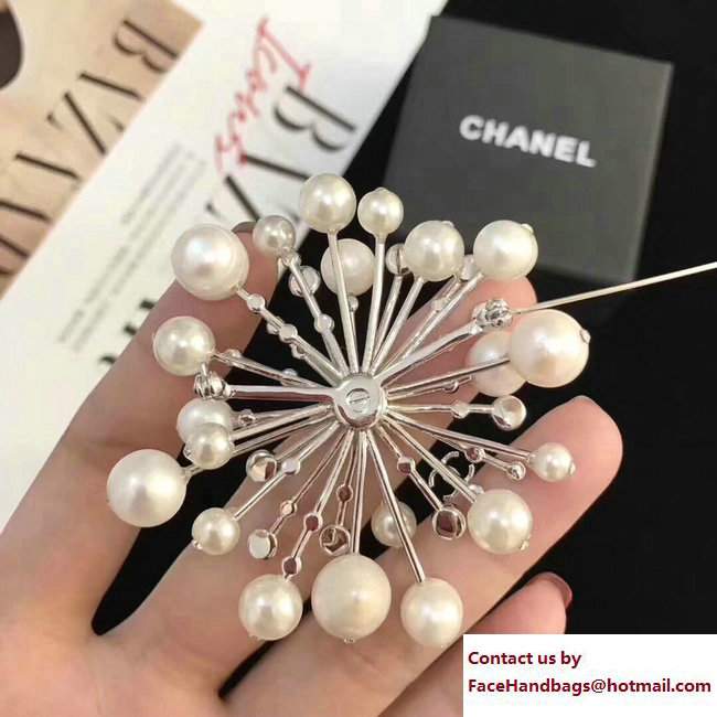 Chanel Brooch 05 2018 - Click Image to Close