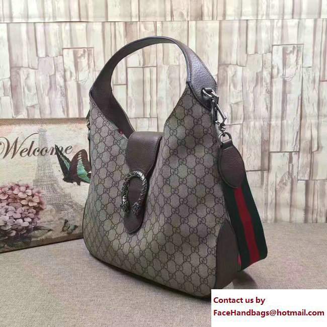 Gucci Dionysus Web Medium GG Hobo Bag 446687 2017