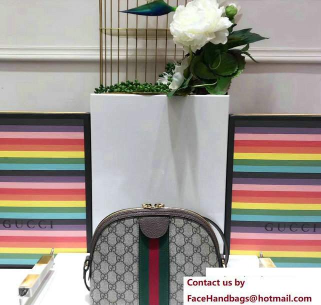 Gucci Domed Shape Ophidia GG Small Shoulder Bag 499621 2017 - Click Image to Close