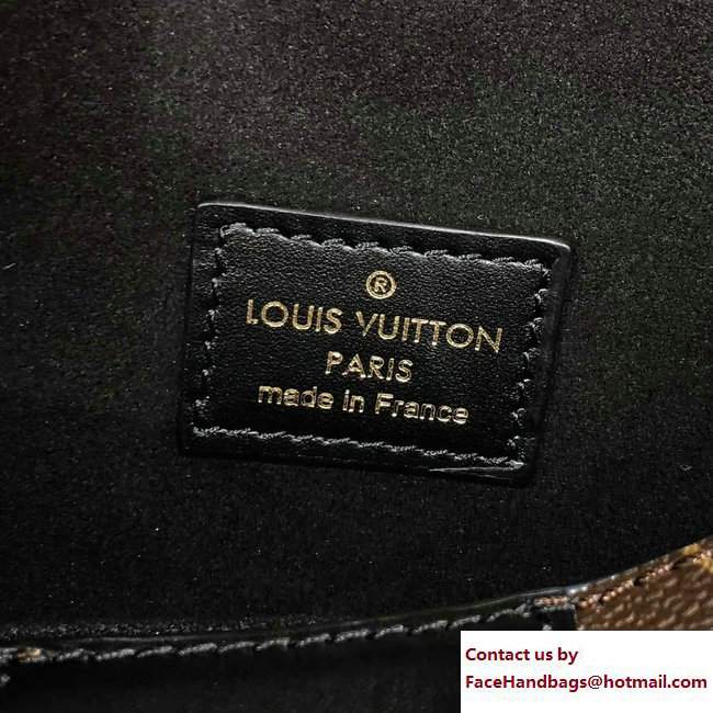 Louis Vuitton Monogram Canvas and Monogram Reverse Hobo Bento Box Bag Cruise 2018
