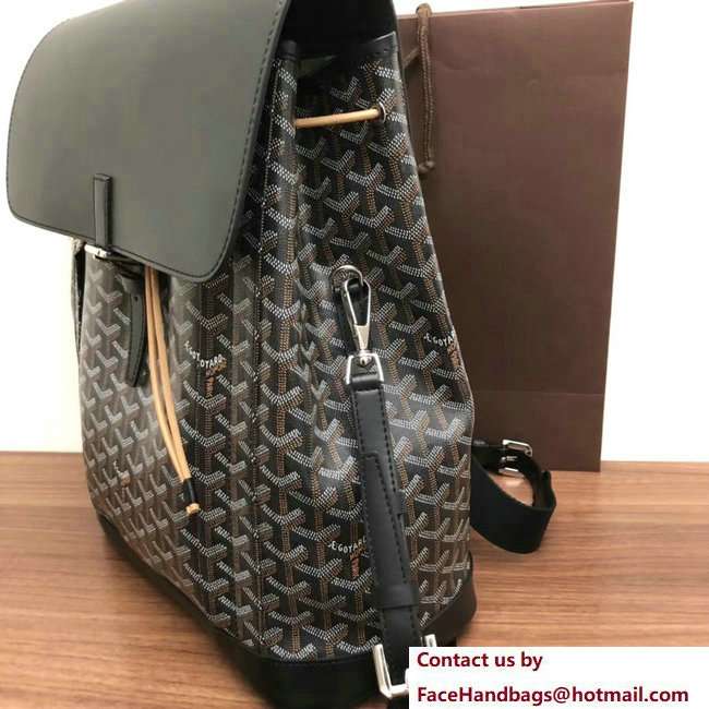Goyard Alpin Backpack Bag Black