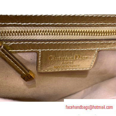 Dior Saddle Bag in Python Gold - Click Image to Close