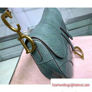 Dior Saddle Bag in Python Mint Green