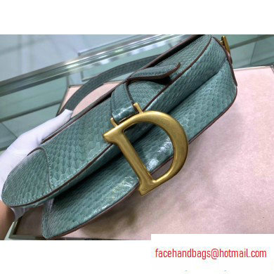 Dior Saddle Bag in Python Mint Green