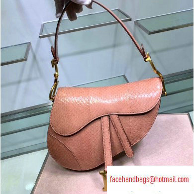 Dior Saddle Bag in Python Nude Pink - Click Image to Close