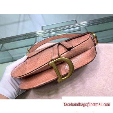 Dior Saddle Bag in Python Nude Pink - Click Image to Close