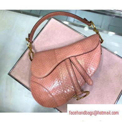 Dior Saddle Bag in Python Nude Pink