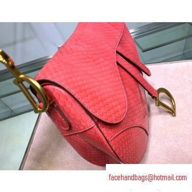 Dior Saddle Bag in Python Peach Red - Click Image to Close