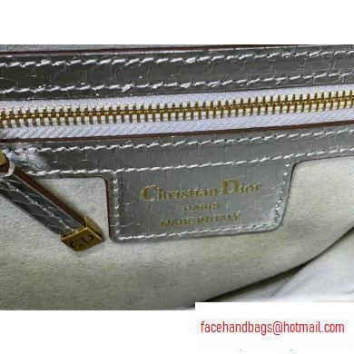 Dior Saddle Bag in Python Silver