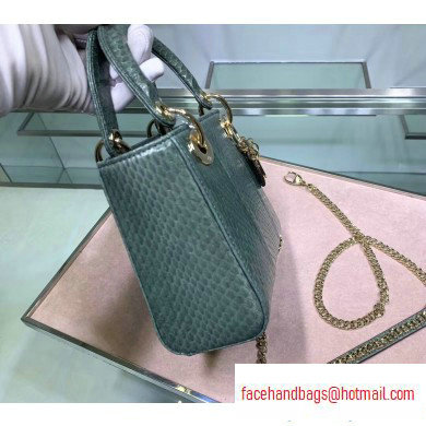 Lady Dior Mini Bag with Chain in Python Mint Green - Click Image to Close