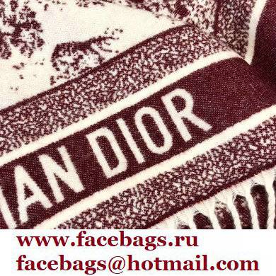 Dior Blanket 140x140cm D03 2021 - Click Image to Close