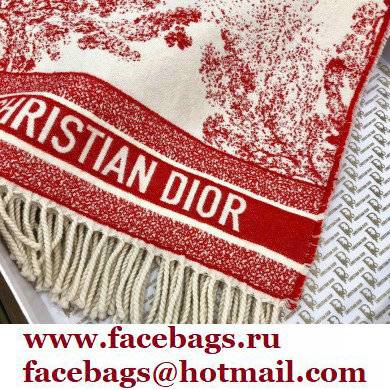 Dior Blanket 140x140cm D13 2021 - Click Image to Close