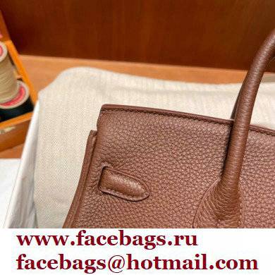 Hermes Birkin 25cm Bag alezan in Original Togo Leather