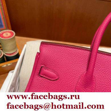 Hermes Birkin 25cm Bag rose tyrien in Original Togo Leather