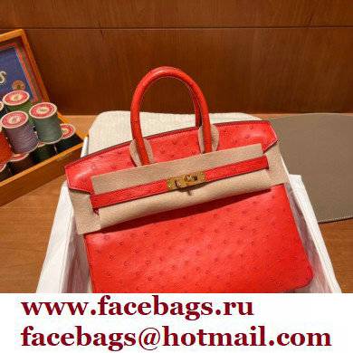 Hermes birkin 25 bag in ostrich leather Rouge Tomate handmade