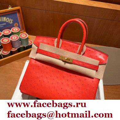 Hermes birkin 25 bag in ostrich leather Rouge Tomate handmade - Click Image to Close