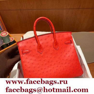 Hermes birkin 25 bag in ostrich leather Rouge Tomate handmade