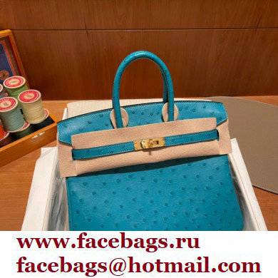 Hermes birkin 25 bag in ostrich leather bleu france handmade - Click Image to Close