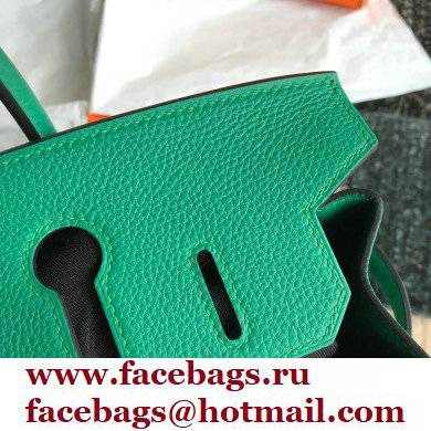 Hermes Birkin 30/35 Bag In Original togo Leather With Gold/Silver Hardware velvet green