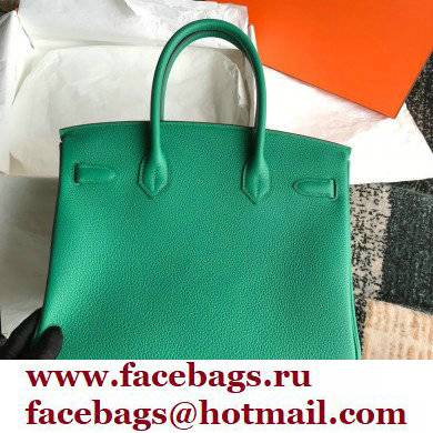 Hermes Birkin 30/35 Bag In Original togo Leather With Gold/Silver Hardware velvet green