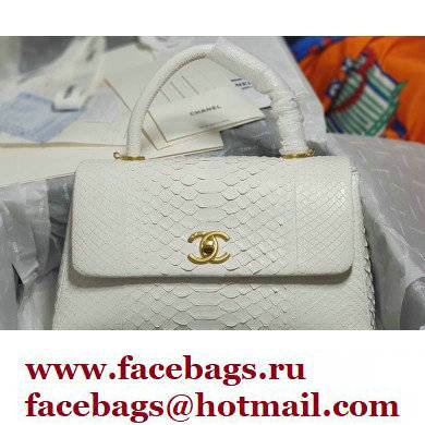Chanel Python Coco Handle Medium Flap Bag with Top Handle 06
