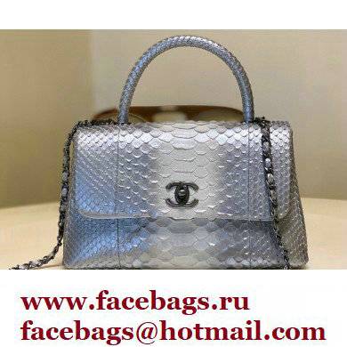 Chanel Python Coco Handle Medium Flap Bag with Top Handle 14