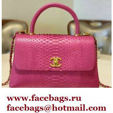 Chanel Python Coco Handle Medium Flap Bag with Top Handle 18