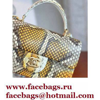 Chanel Python Coco Handle Mini Flap Bag with Top Handle 02