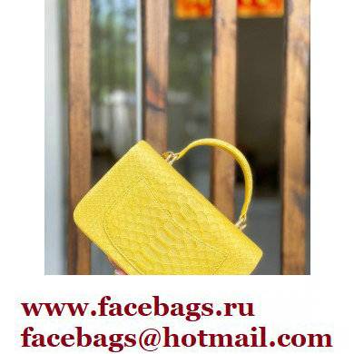 Chanel Python Coco Handle Mini Flap Bag with Top Handle 17