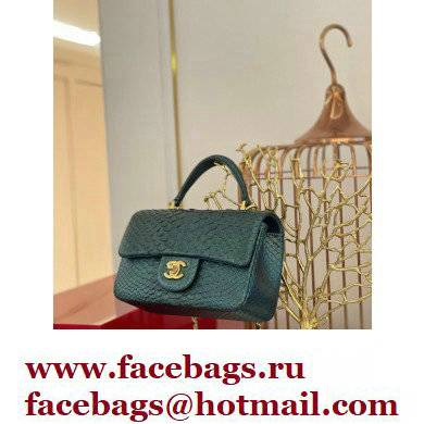 Chanel Python Coco Handle Mini Flap Bag with Top Handle 20