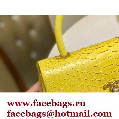 Chanel Python Coco Handle Small Flap Bag with Top Handle 17