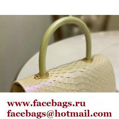 Chanel Python Coco Handle Small Flap Bag with Top Handle 22