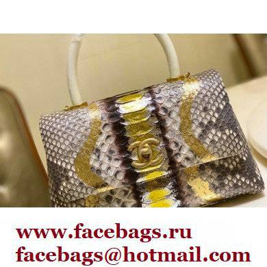 Chanel Python Coco Handle Small Flap Bag with Top Handle 25