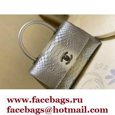 Chanel Python Coco Handle Small Flap Bag with Top Handle 27
