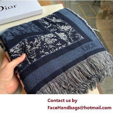 dior and kenny scharf cashmere shawl 2022