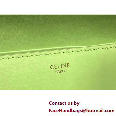 Celine SHOULDER BAG triomphe in Shiny calfskin 194143 Light Green