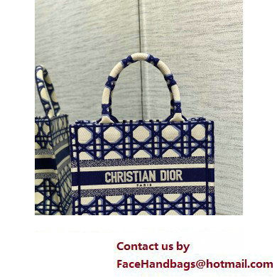 Dior small Book Tote Bag in Beige and Blue Macrocannage Embroidery 2023