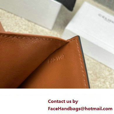 celine Small Strap Wallet in Triomphe Canvas and lambskin Tan 2022