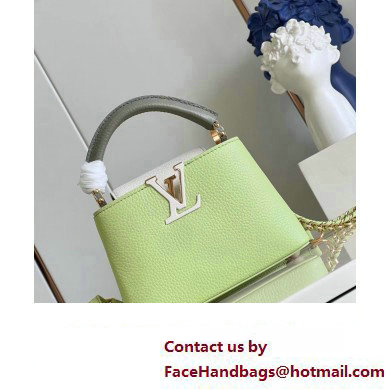 louis vuitton Capucines Mini handbag GREEN/WHITE M22916 2023