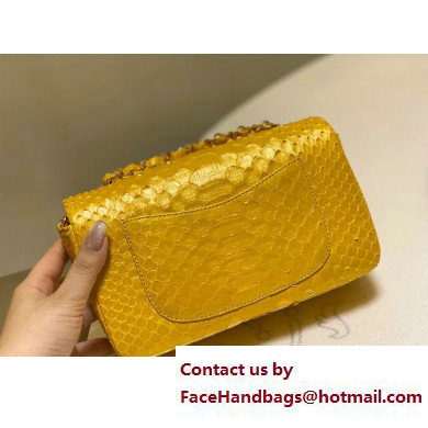 Chanel Classic Flap Small Bag 1116 In Python 03 2023