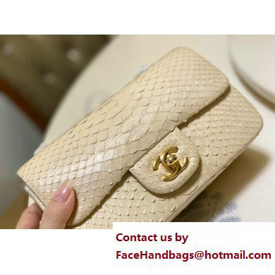 Chanel Classic Flap Small Bag 1116 In Python 10 2023