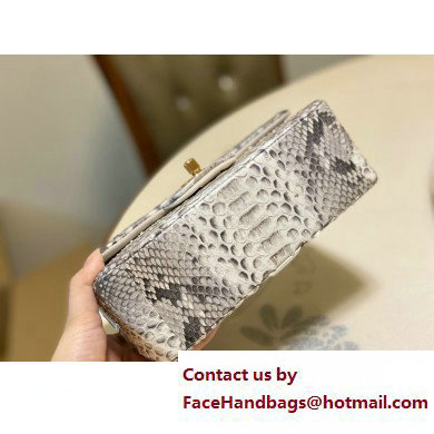 Chanel Classic Flap Small Bag 1116 In Python 12 2023