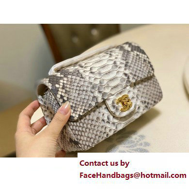 Chanel Classic Flap Small Bag 1116 In Python 12 2023