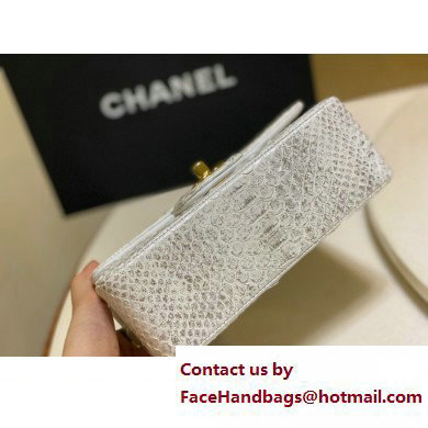 Chanel Classic Flap Small Bag 1116 In Python 21 2023 - Click Image to Close
