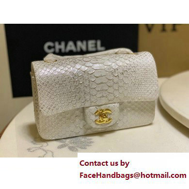 Chanel Classic Flap Small Bag 1116 In Python 21 2023 - Click Image to Close